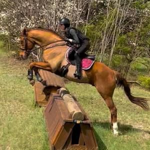 Meet your Posher, Felicity